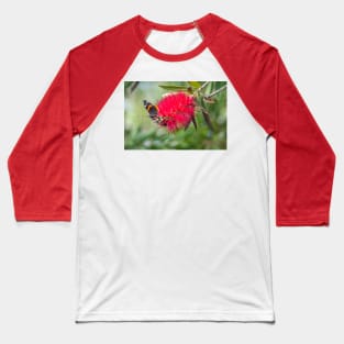 Red Admiral On A Red Bottlebrush Bloom Baseball T-Shirt